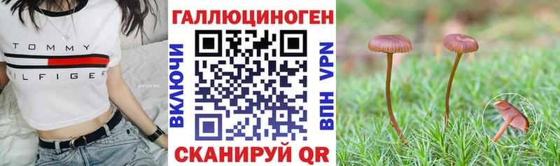 магазин  наркотиков  Петрозаводск  Псилоцибиновые грибы прущие грибы 